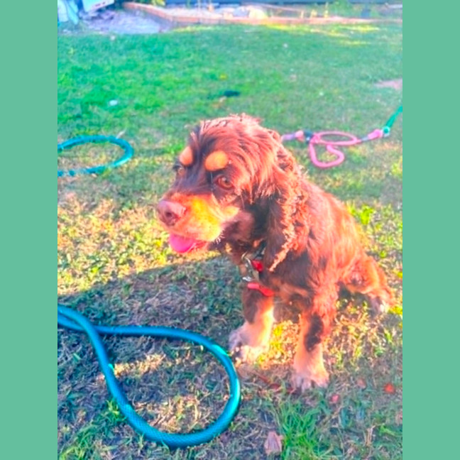 Photo of Remi