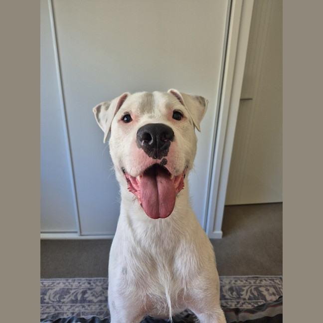 Photo of Ripley