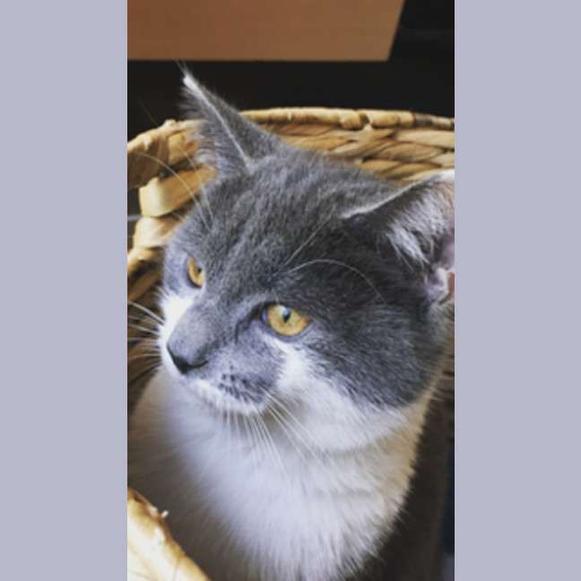 Photo of Sassy Smokey Calls The Shots