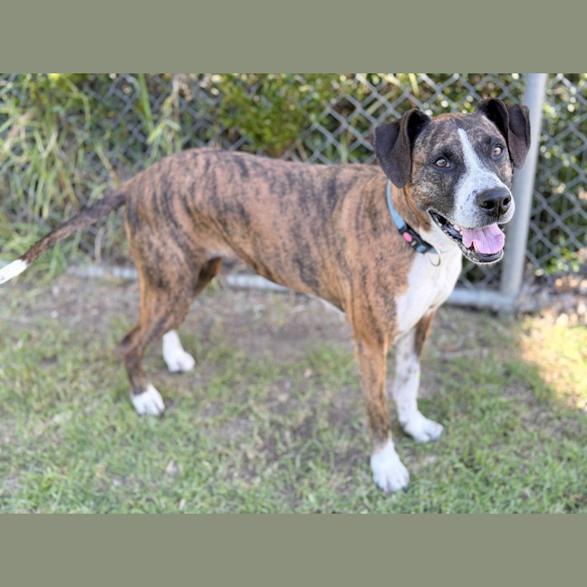 Photo of Xena