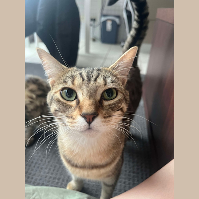 Photo of Fred & Barney