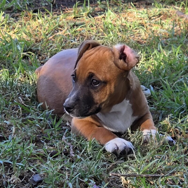 Photo of Zoe