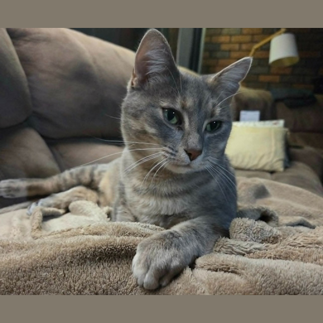 Photo of Luna