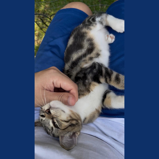 Photo of Nutmeg