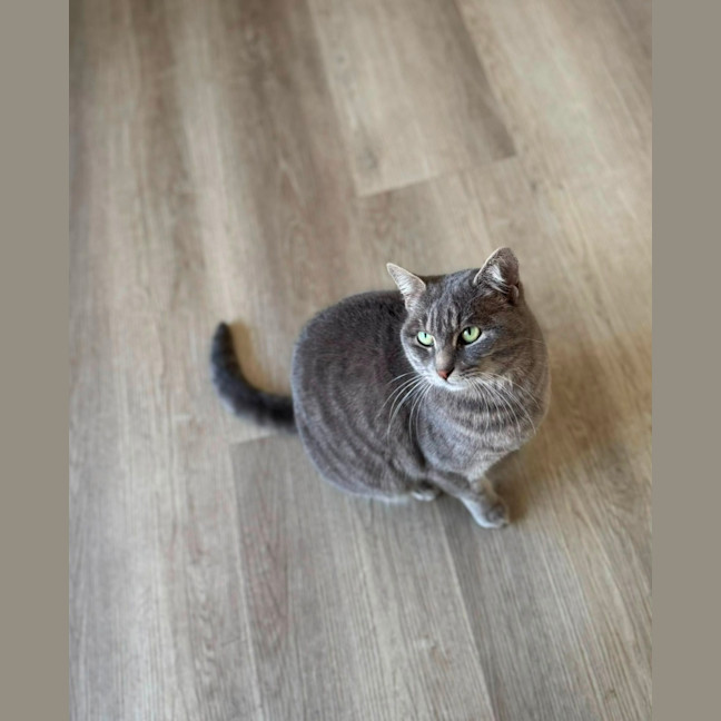 Photo of Emmi 🌸