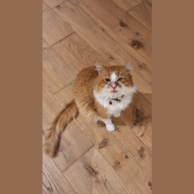 Photo of Rodger