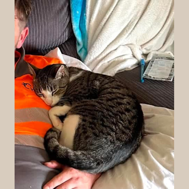 Photo of Felix