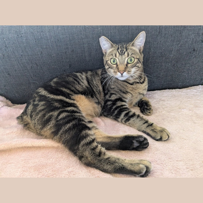 Photo of Spark