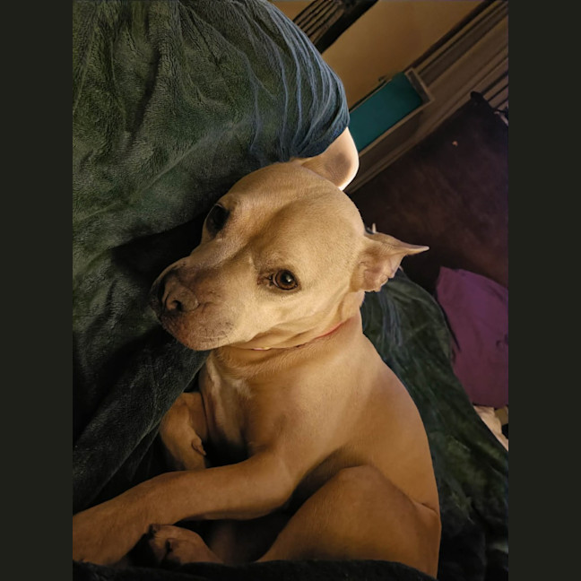 Photo of Daisy