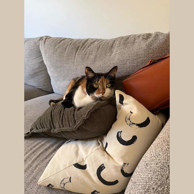 Photo of Georgie