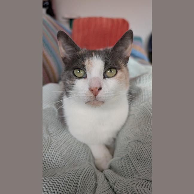 Photo of Mabel