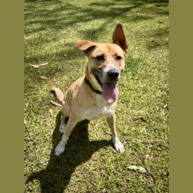 Photo of Hazel