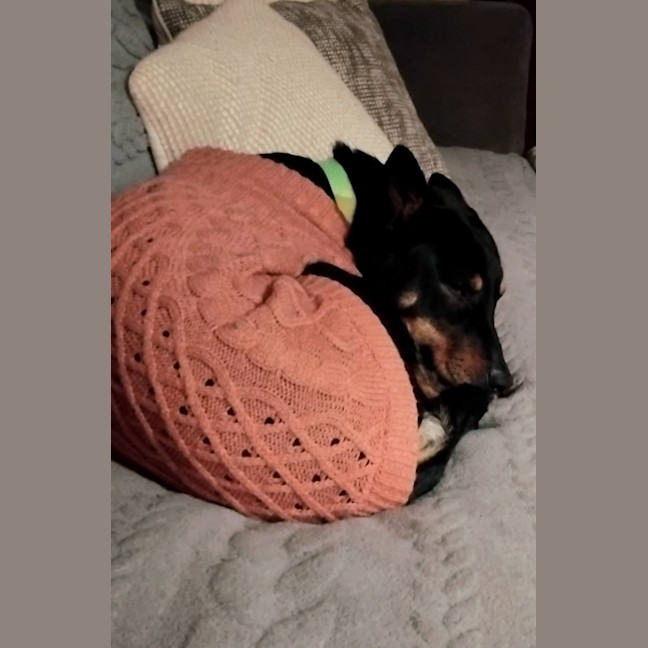 Photo of Effie