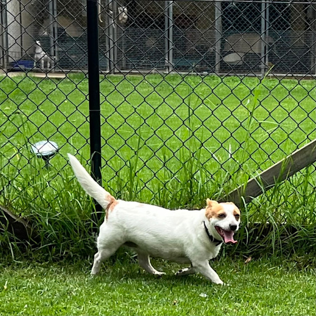 Photo of Zora