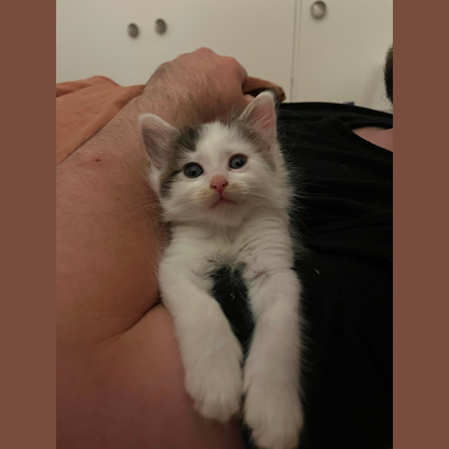 Photo of Albie