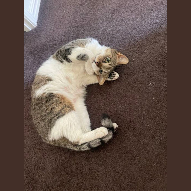 Photo of Ally Mc Beal