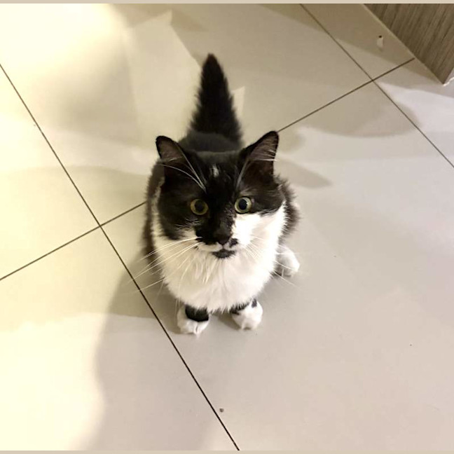 Photo of Jasper