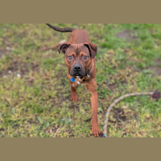 Photo of Roo
