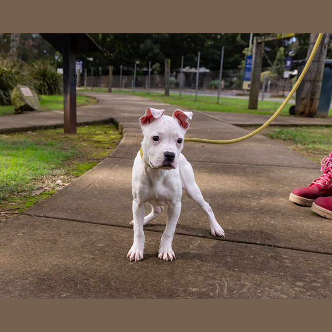 Photo of Butterfield