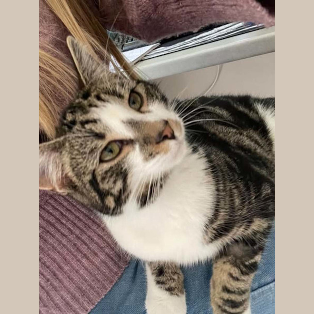 Photo of Ernie