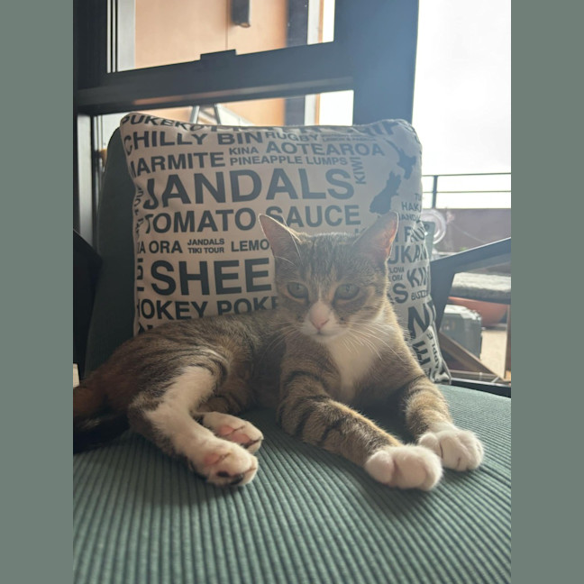 Photo of Trudy