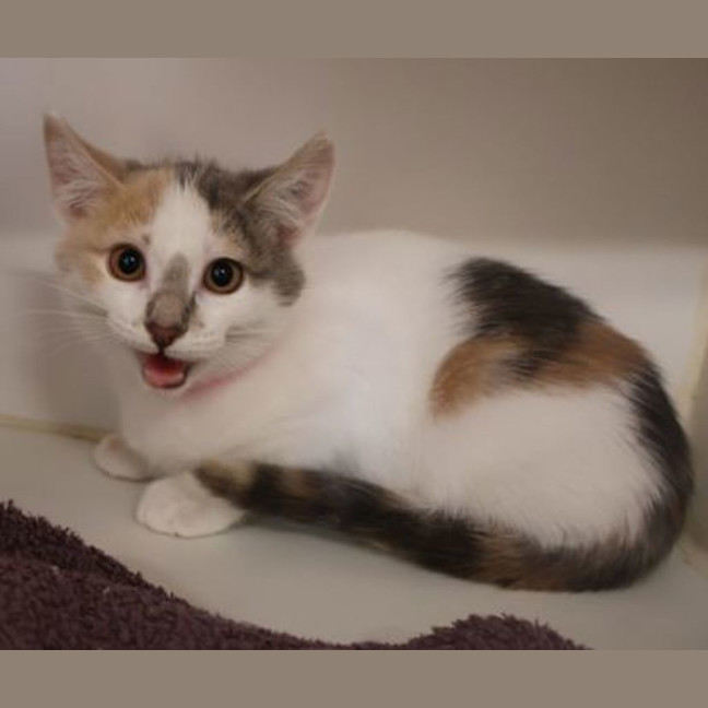 Photo of Raynah
