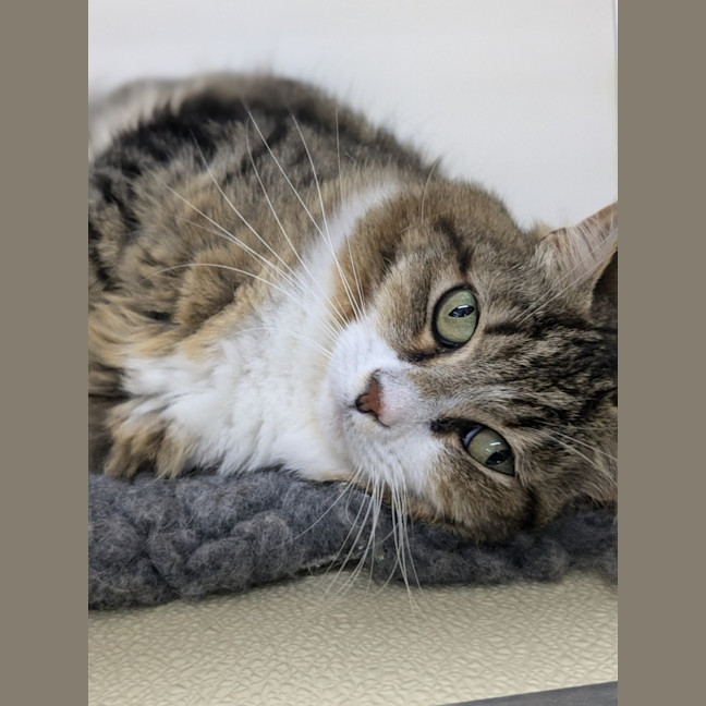 Photo of 🪀 James (Jimmy) 5740 🪀