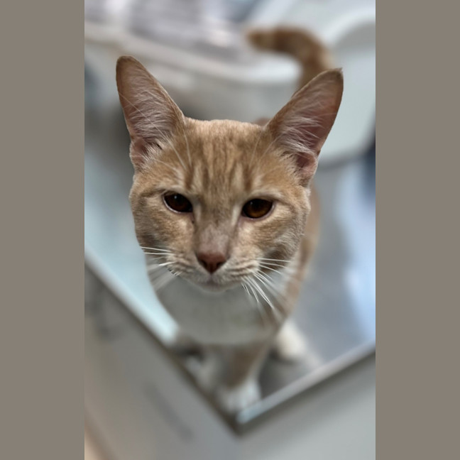 Photo of Floyd (0203)