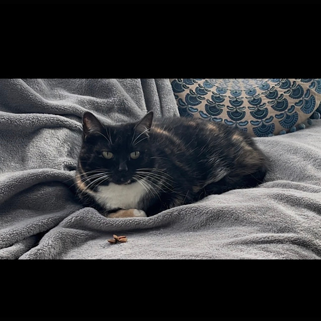Photo of A Special Little Lady