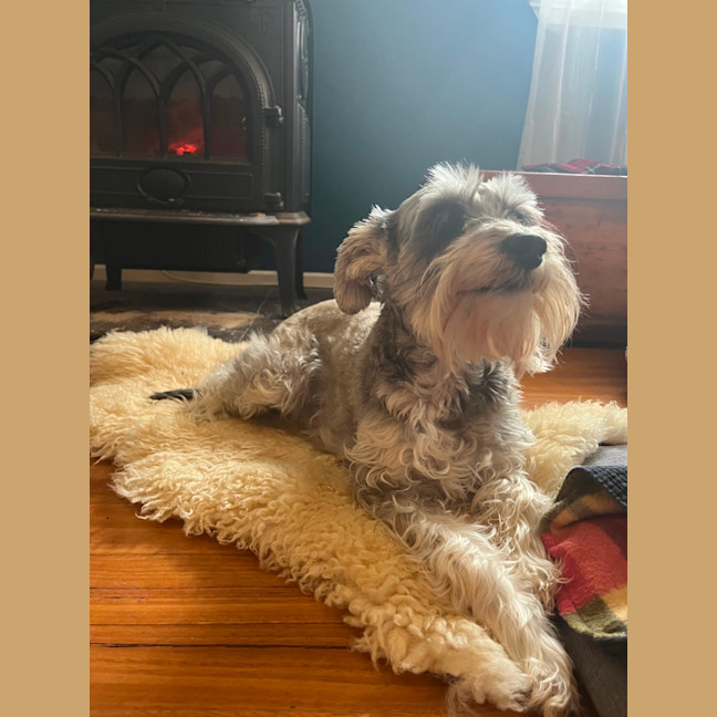 Photo of Toast And Nanna