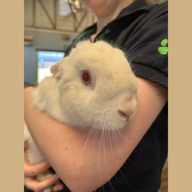 Photo of Sookie Lala Larry