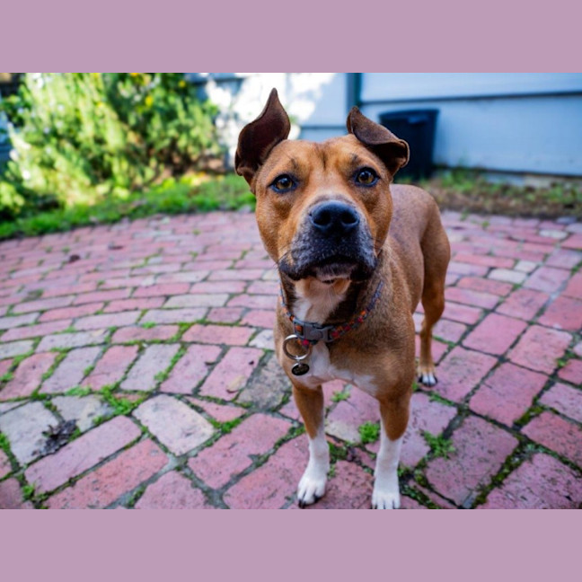 Photo of Chloe Haliwell