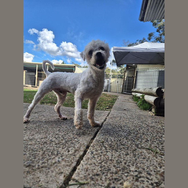 Photo of Paddy