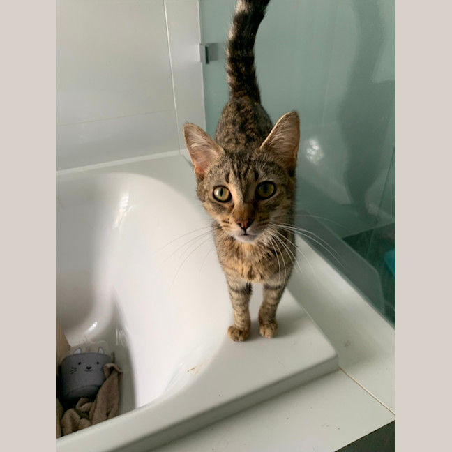 Photo of Ellie (Eleanor)