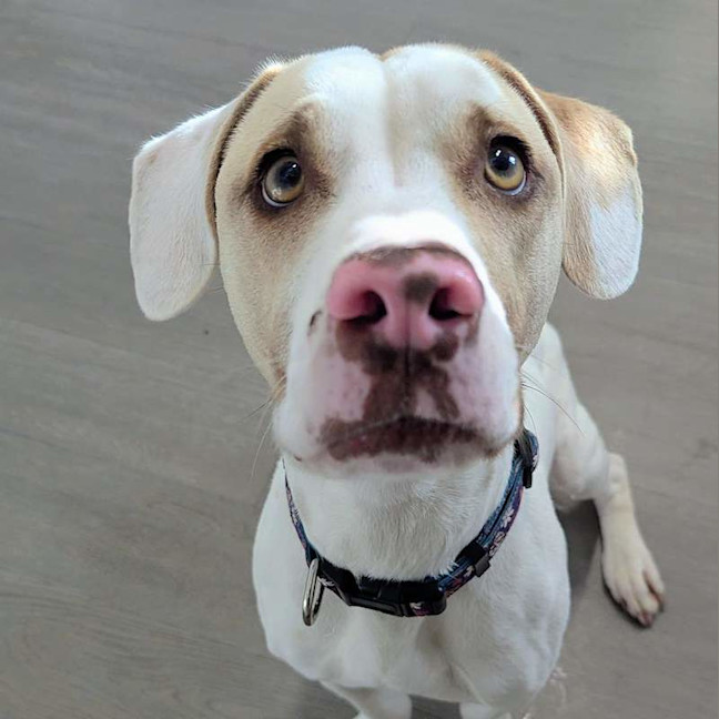 Photo of Quinn