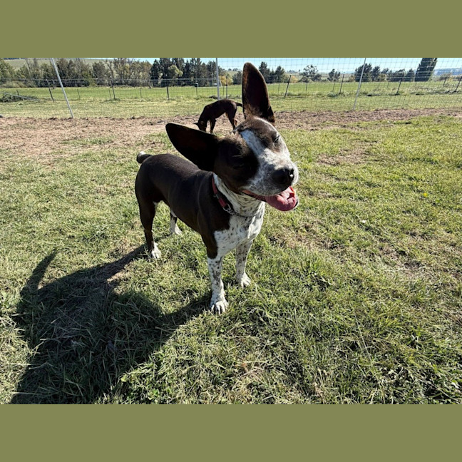 Photo of Charlie