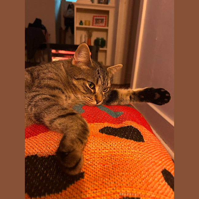 Photo of Baby 🌸