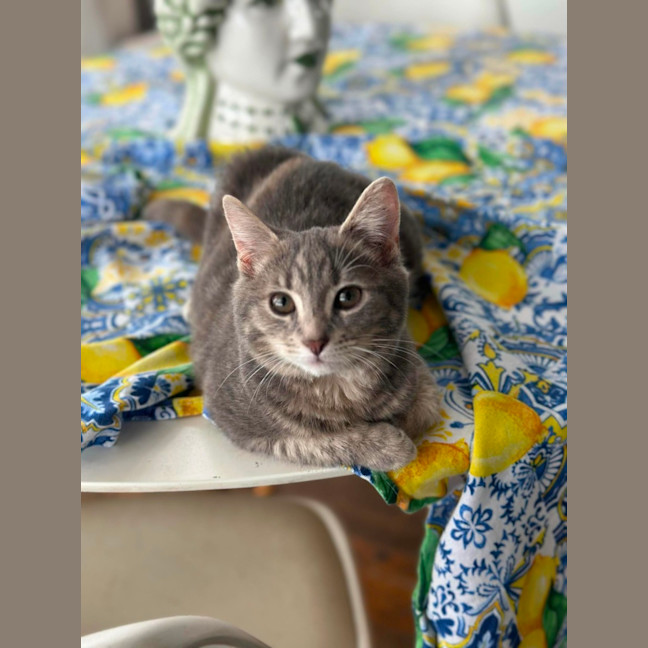 Photo of Smokin 🔥