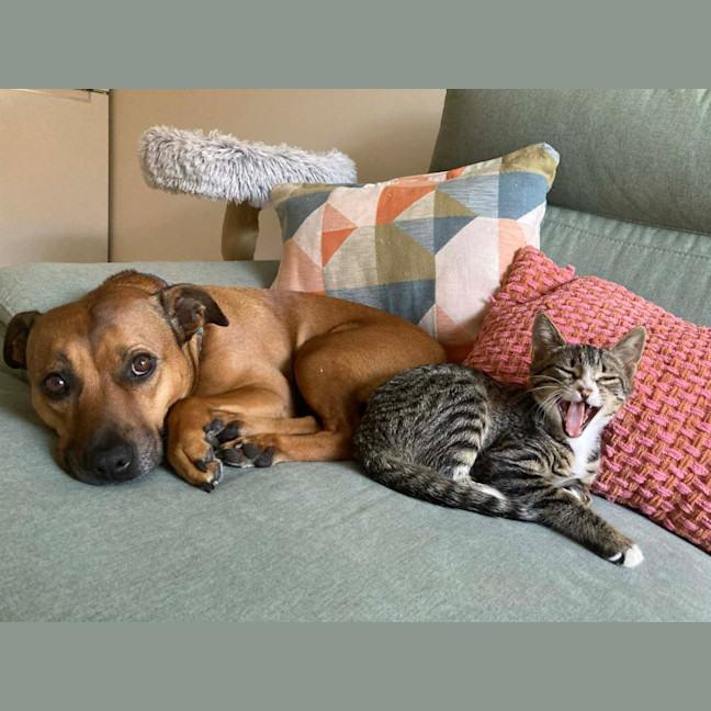 Photo of Your Uncle Kevin