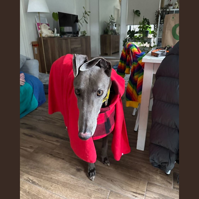 Photo of Cash