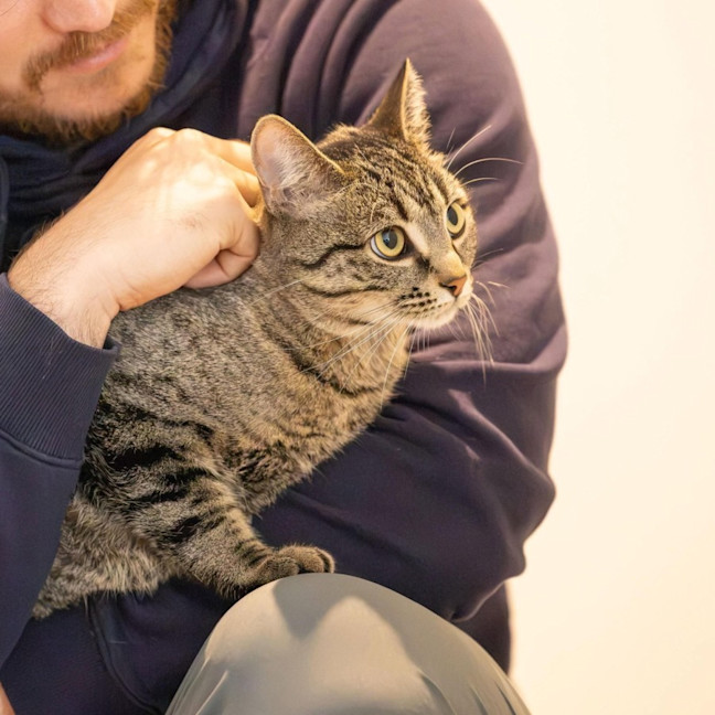 Photo of Marceline   In Foster Care In Preston