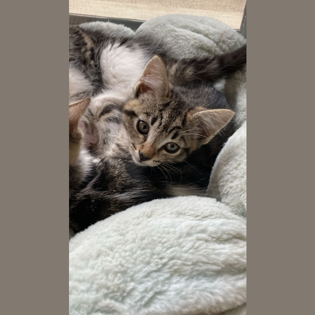 Photo of Jasper