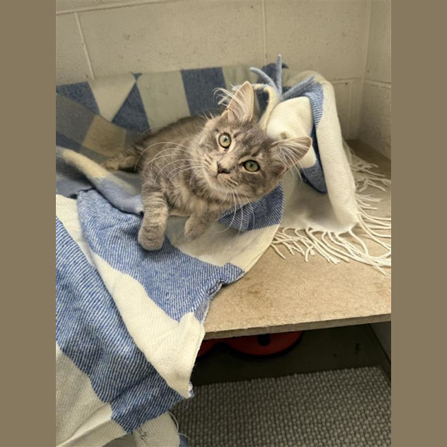 Photo of Sailor