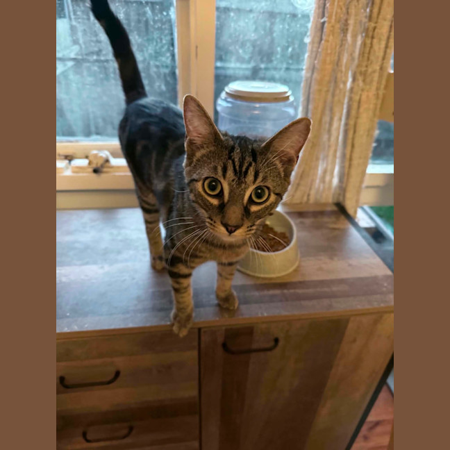 Photo of Zeus