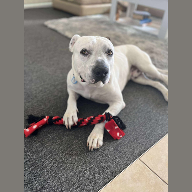 Photo of Turbo