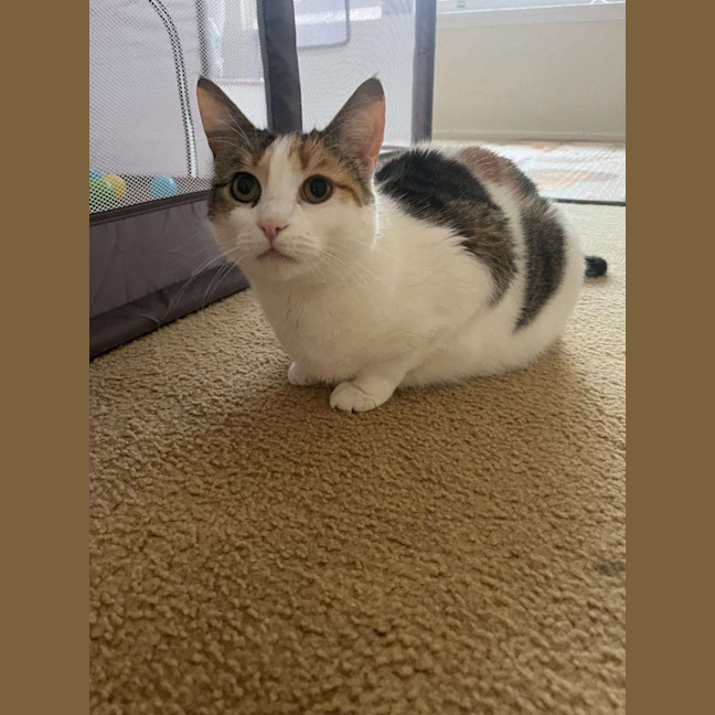 Photo of Shelly And Sandy