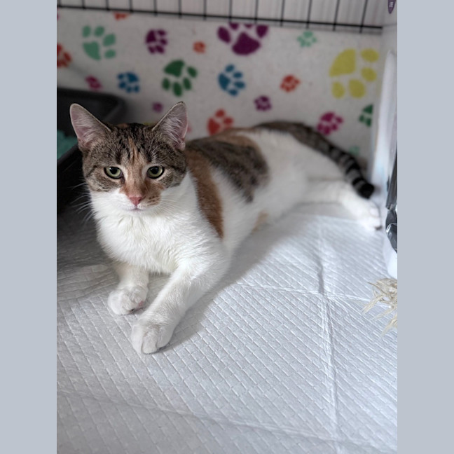 Photo of Laynee 🌺