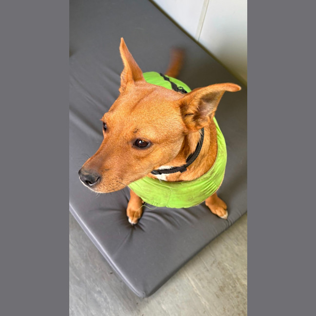 Photo of Reggie