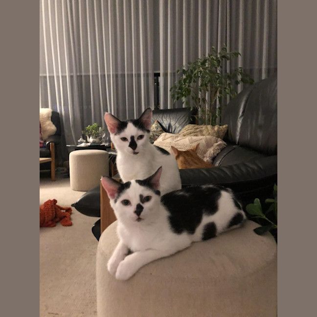 Photo of Charlie