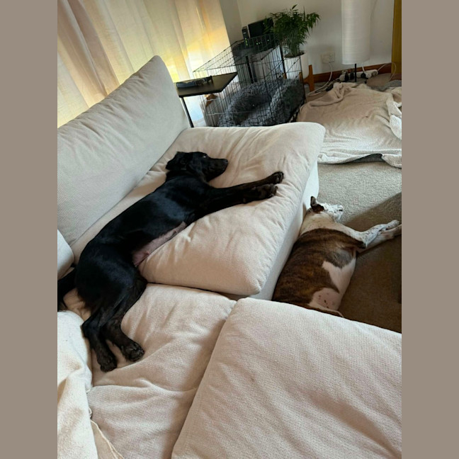 Photo of Flip
